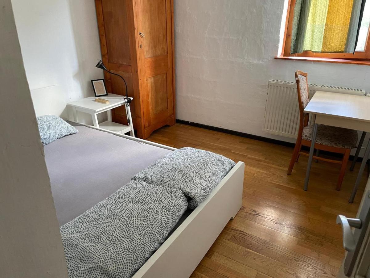 Budapest Garden Hostel エクステリア 写真